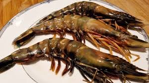 King Prawn Black Tiger